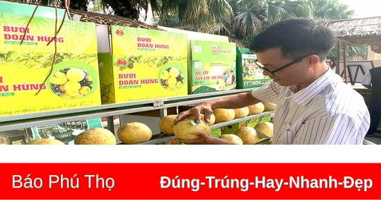 Tạo động lực tăng trưởng từ phát triển kinh tế số