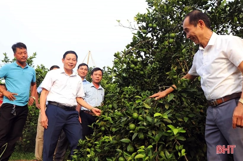 Thi đua chào mừng đại hội hội nông dân các cấp ở Hà Tĩnh