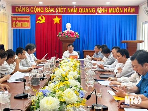 Đồng chí Trịnh Minh Hoàng, Phó Chủ tịch UBND tỉnh làm việc với Sở Công Thương