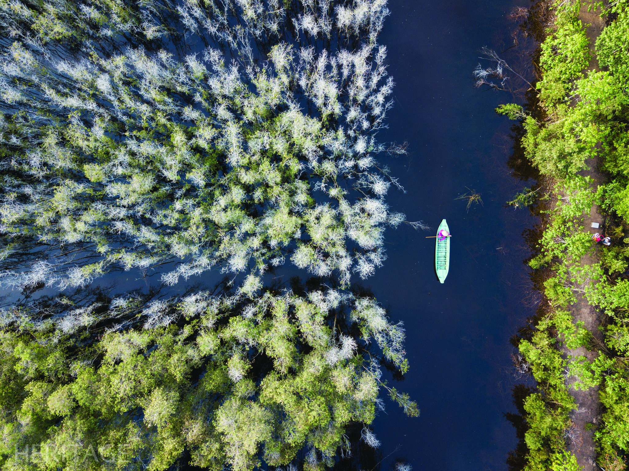 May be an image of kayak