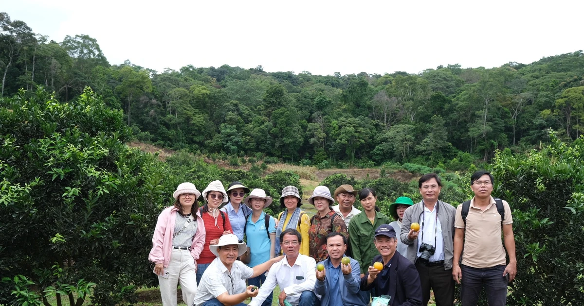 Gia Lai៖ អង្គភាពចំនួន១០បានទទួលវិញ្ញាបនបត្រសគុណពីសមាគមទេសចរណ៍វៀតណាម