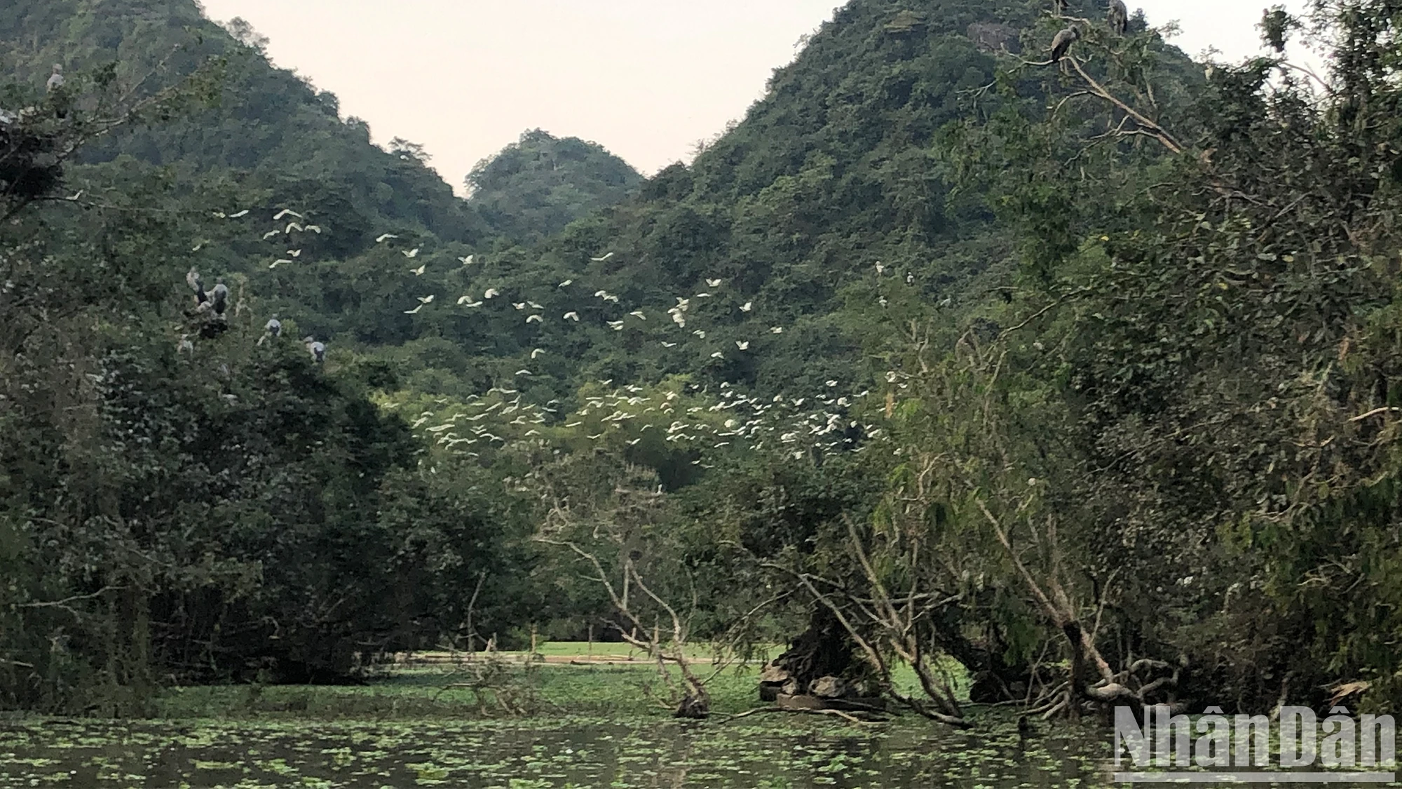 Đưa Ninh Bình trở thành trường quay quy mô lớn