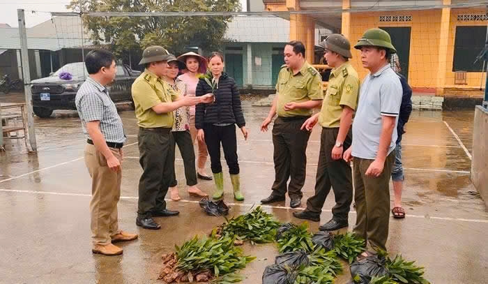 Cán bộ Hạt Kiểm lâm Hàm Yên trao đổi cùng nhân dân về giống Keo chất lượng cao.