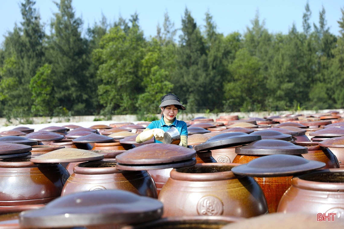 Traditional fish sauce facilities in the South of Ha Tinh enter new production season