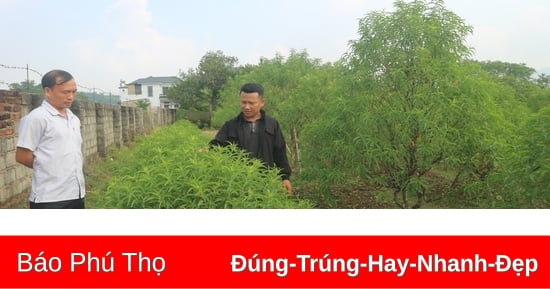 Hỗ trợ trên 57 tỷ đồng cho 1.201 hộ nông dân vay vốn