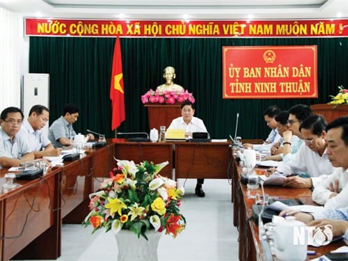 Comrade Tran Quoc Nam, Deputy Secretary of the Provincial Party Committee, Chairman of the Provincial People's Committee worked with the French Development Agency.