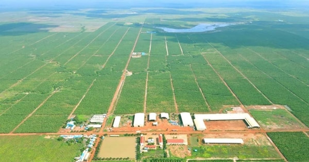 HAGL Agrico has paid off all debts to Hoang Anh Gia Lai, receiving back more than 32,500 hectares of rubber and oil palm land.