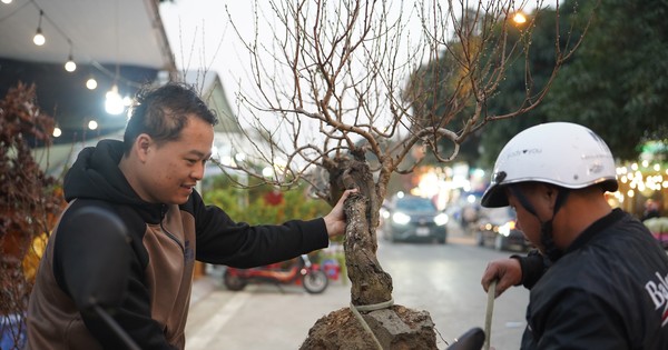 Nhộn nhịp chợ hoa Tết ở thành phố vùng biên