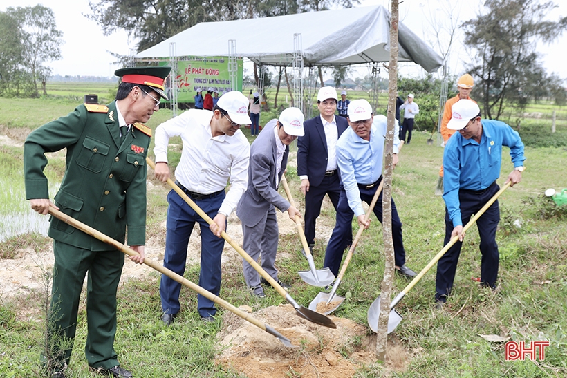 Nhiều đơn vị tiếp tục phát động trồng cây đầu năm mới