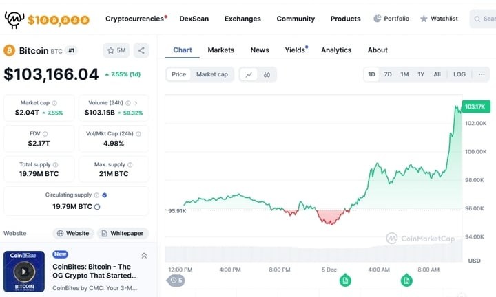 At one point, the price of Bitcoin reached $103,166.04. (Screenshot)