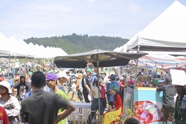 Die Menschen strömen zum La Vuong Plateau in Binh Dinh - wo es an einem Tag vier Jahreszeiten gibt