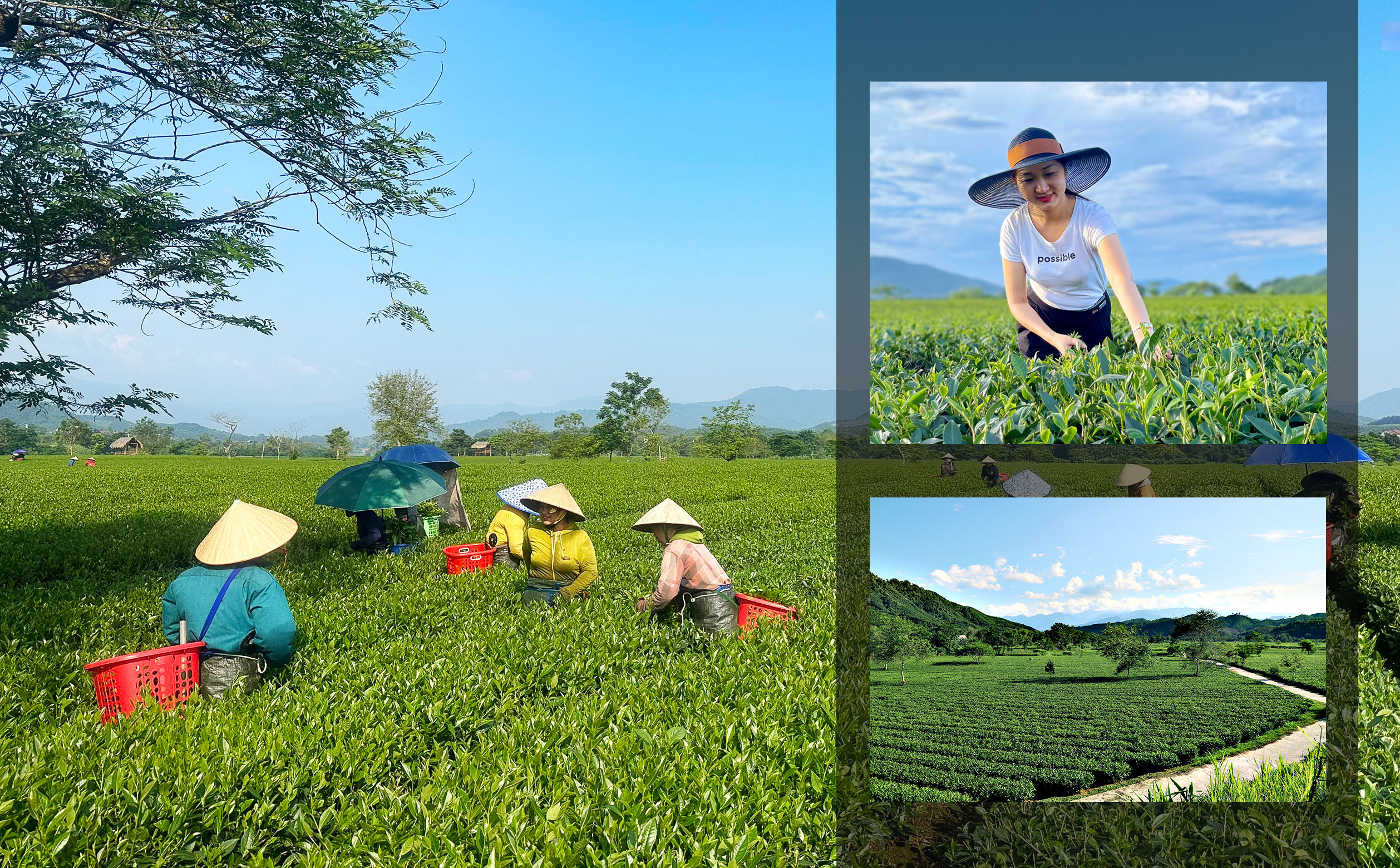 Building new rural areas in Ha Tinh: Going into depth, effectively and sustainably (Part 3): Persisting in the goal of a modern, peaceful, and uniquely-identified countryside