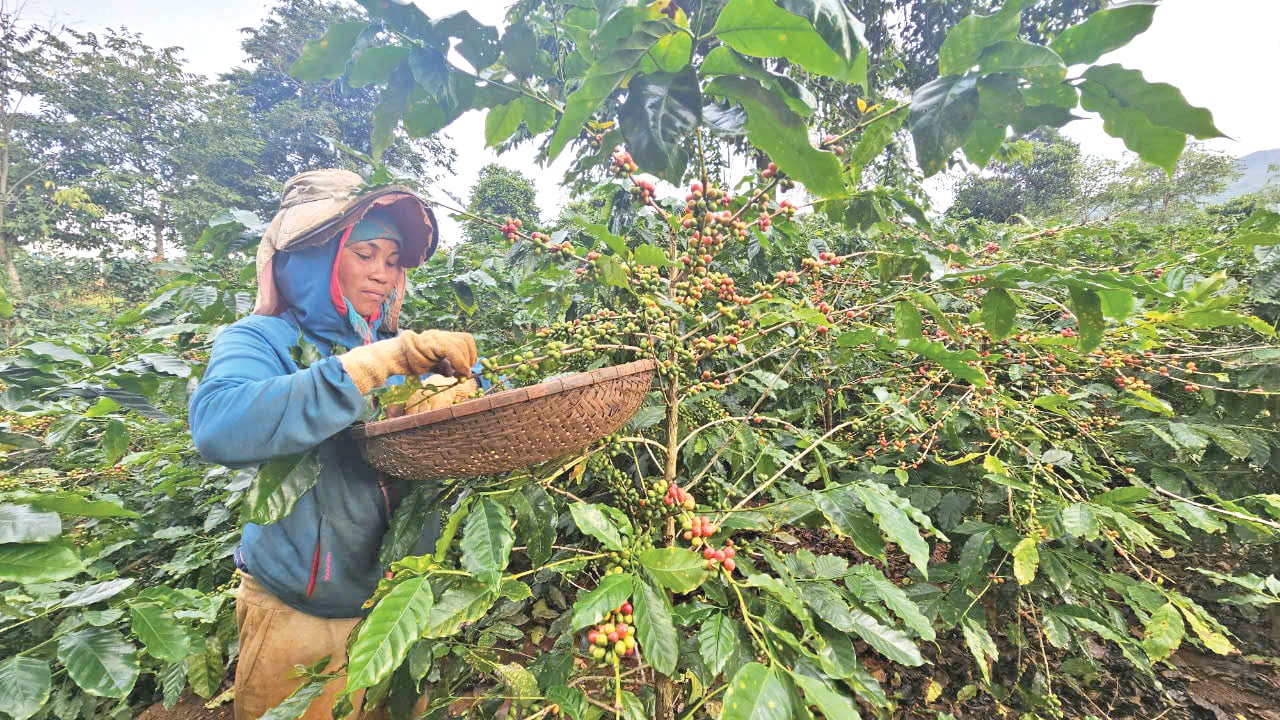 Phát huy hiệu quả chính sách phát triển kinh tế-xã hội vùng đồng bào dân tộc thiểu số và miền núi