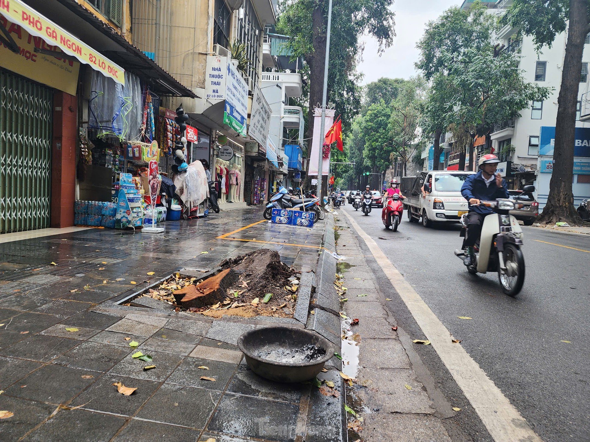 After cleaning up fallen trees, Hanoi begins to rebuild green space photo 12