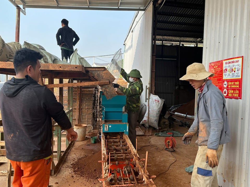 Operación de la tecnología de la línea de producción para preparar las bandejas para la siembra mediante máquinas de la Cooperativa Agrícola General Phu Hung