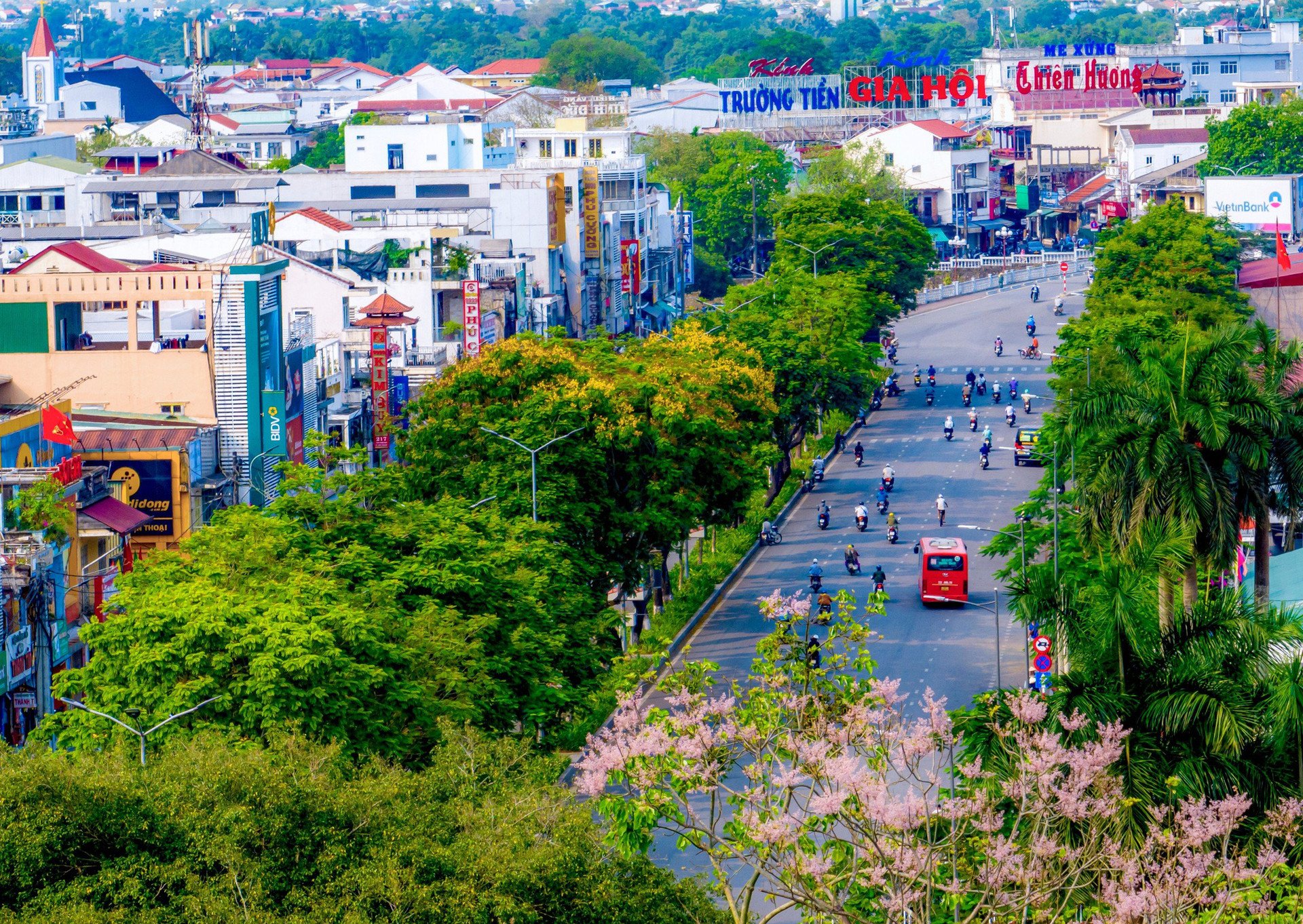 Hoa ngô đồng như những 