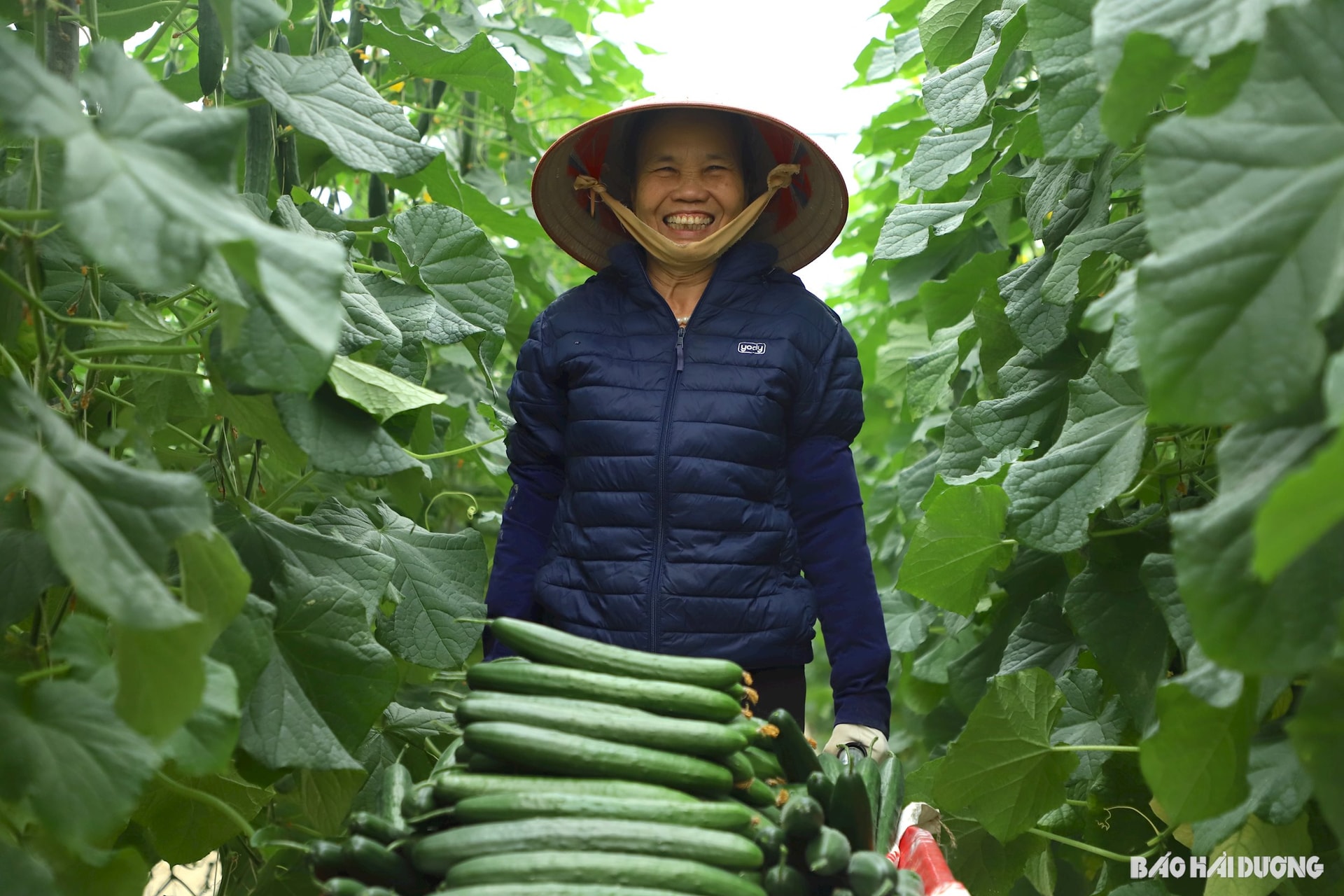 agriculteurs à revenu élevé.jpg