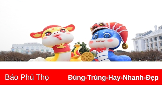 Rực rỡ chợ hoa ngày Tết