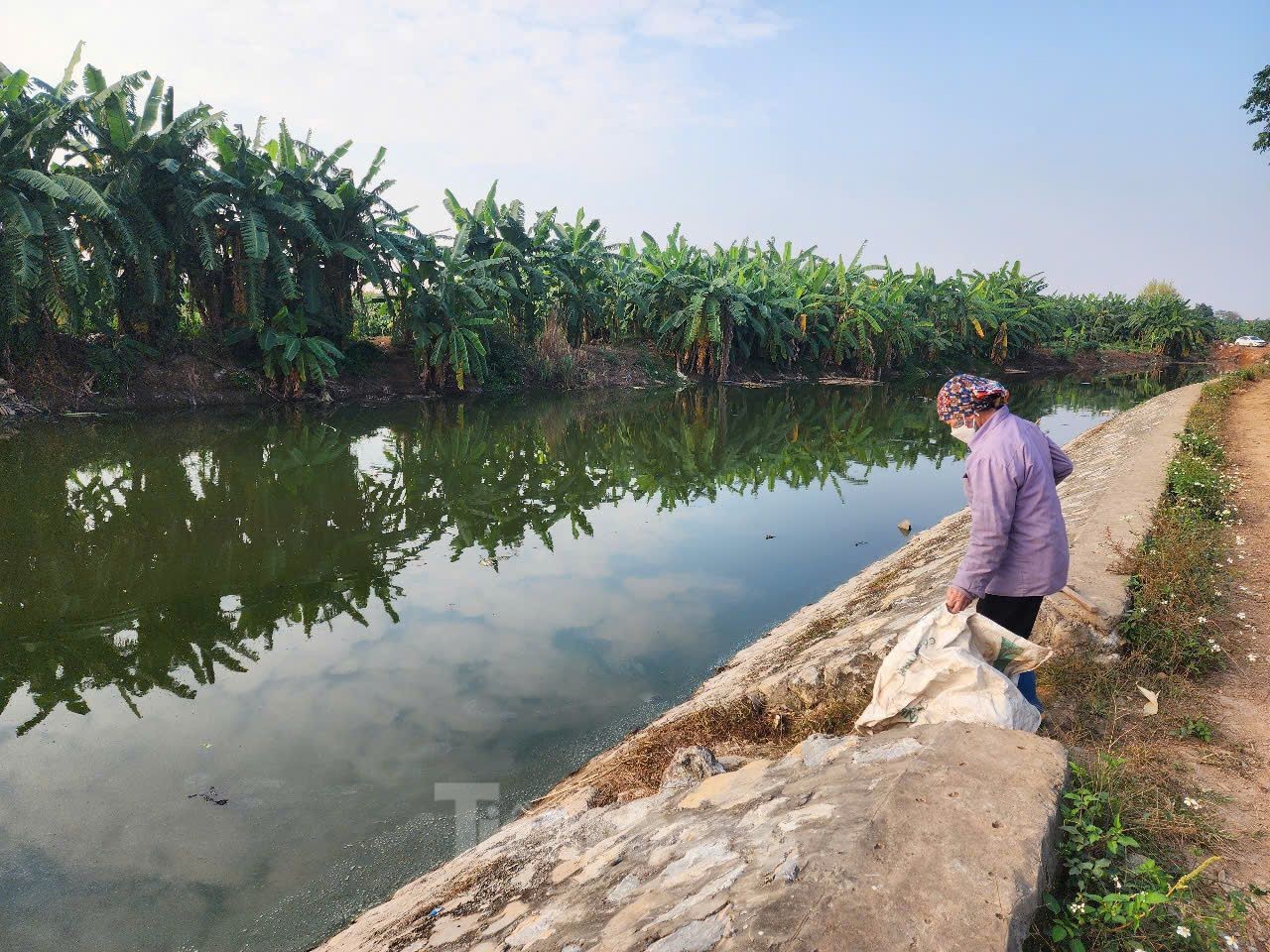 ហាណូយ៖ ទិដ្ឋភាព​បិទ​ជិត​នៃ​ទឹក​សំណល់​ខ្មៅ​ហូរ​ចូល​ទន្លេ​ថ្ងៃ​រូបថត ១០