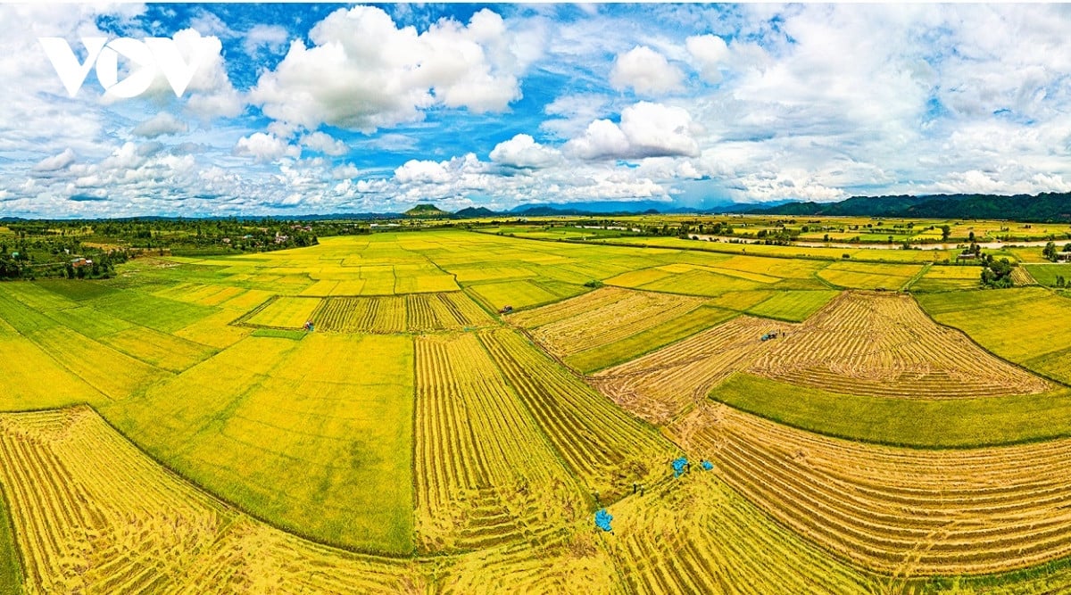 Dong xanh, mua vang o noi giao duyen giua song sau va nui lua hinh anh 5