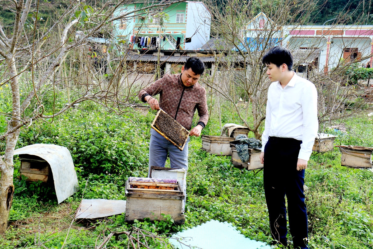 Nguồn vốn Agribank Quản Bạ giúp anh Sân Văn Dũng (trái), thôn Nà Vin, xã Quản Bạ, huyện Quản Bạ có thu nhập ổn định từ nuôi ong lấy mật.
