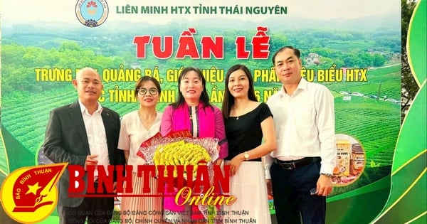 Binh Thuan participa en la Semana de exhibición y presentación de productos cooperativos típicos en Thai Nguyen