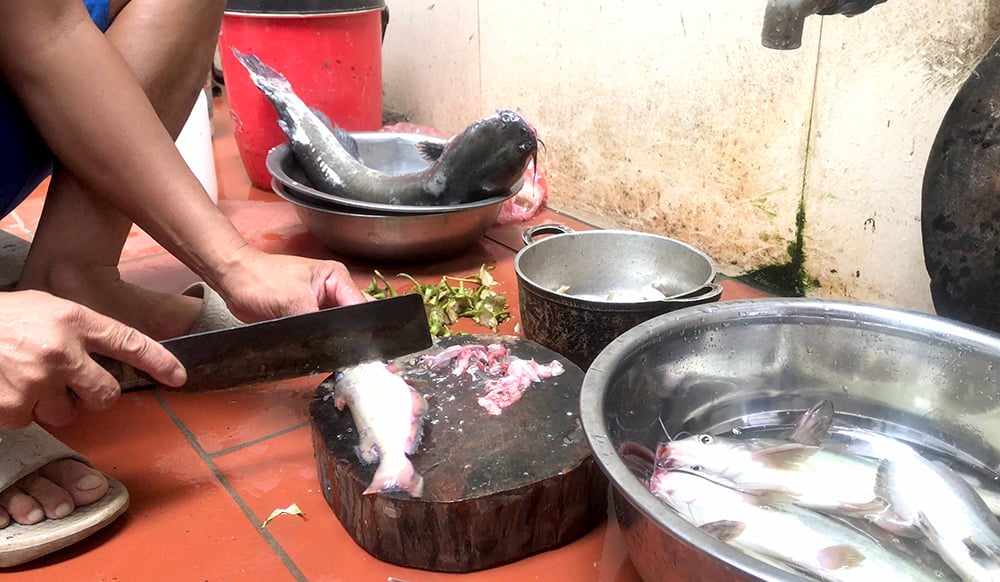 Unique braised catfish with eggplant