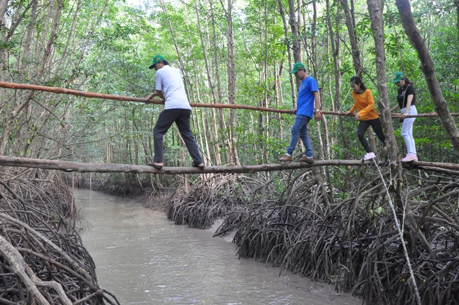 Los visitantes pueden explorar el bosque de manglares de Ca Mau.