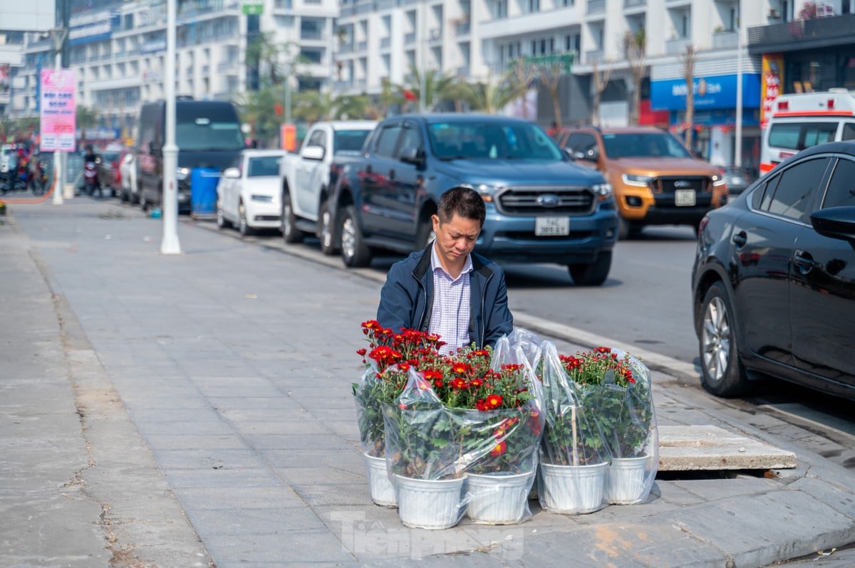 Cặp tùng có giá hơn 2,7 tỷ xuất hiện tại hội chợ hoa ở Hạ Long ảnh 18