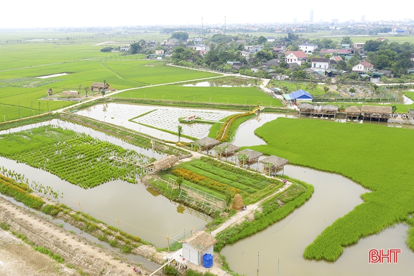 Building new rural areas in Ha Tinh: Going into depth, effectively and sustainably (part 2): Developing rural economy towards modernization and integration