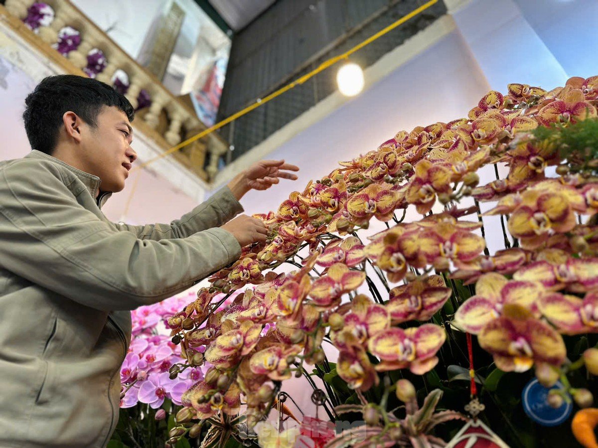 Pot d'orchidée unique avec 300 branches sur bois flotté, d'une valeur de plusieurs centaines de millions de dongs photo 1