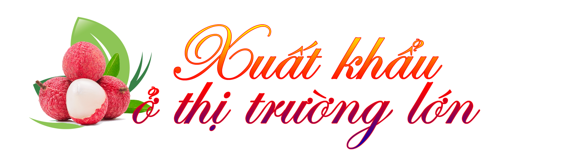 tit3.png
