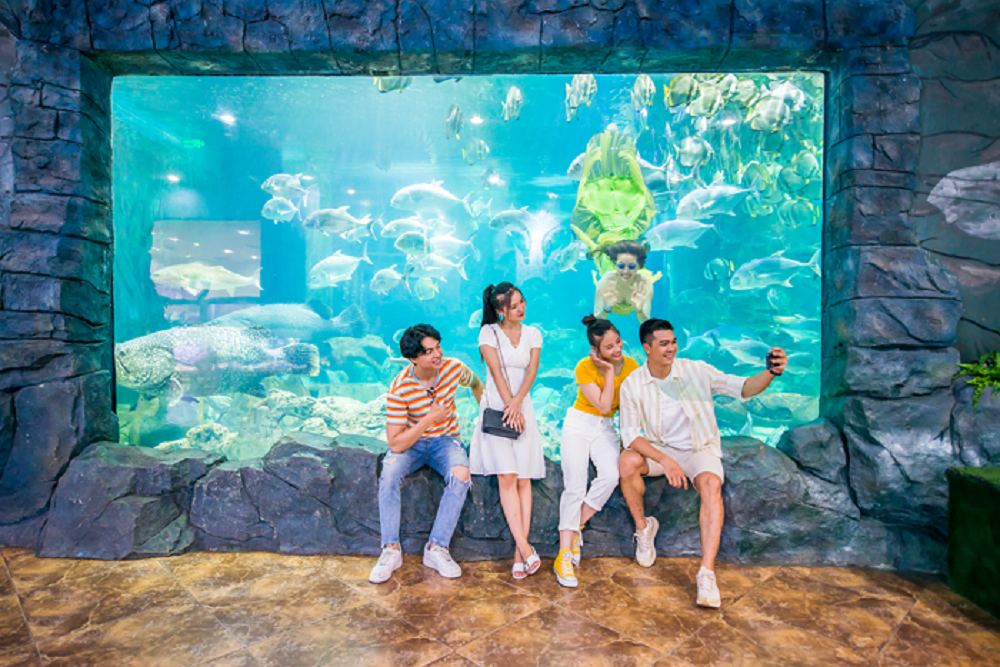 Vinpearlland Aquarium is likened to a miniature ocean underground.