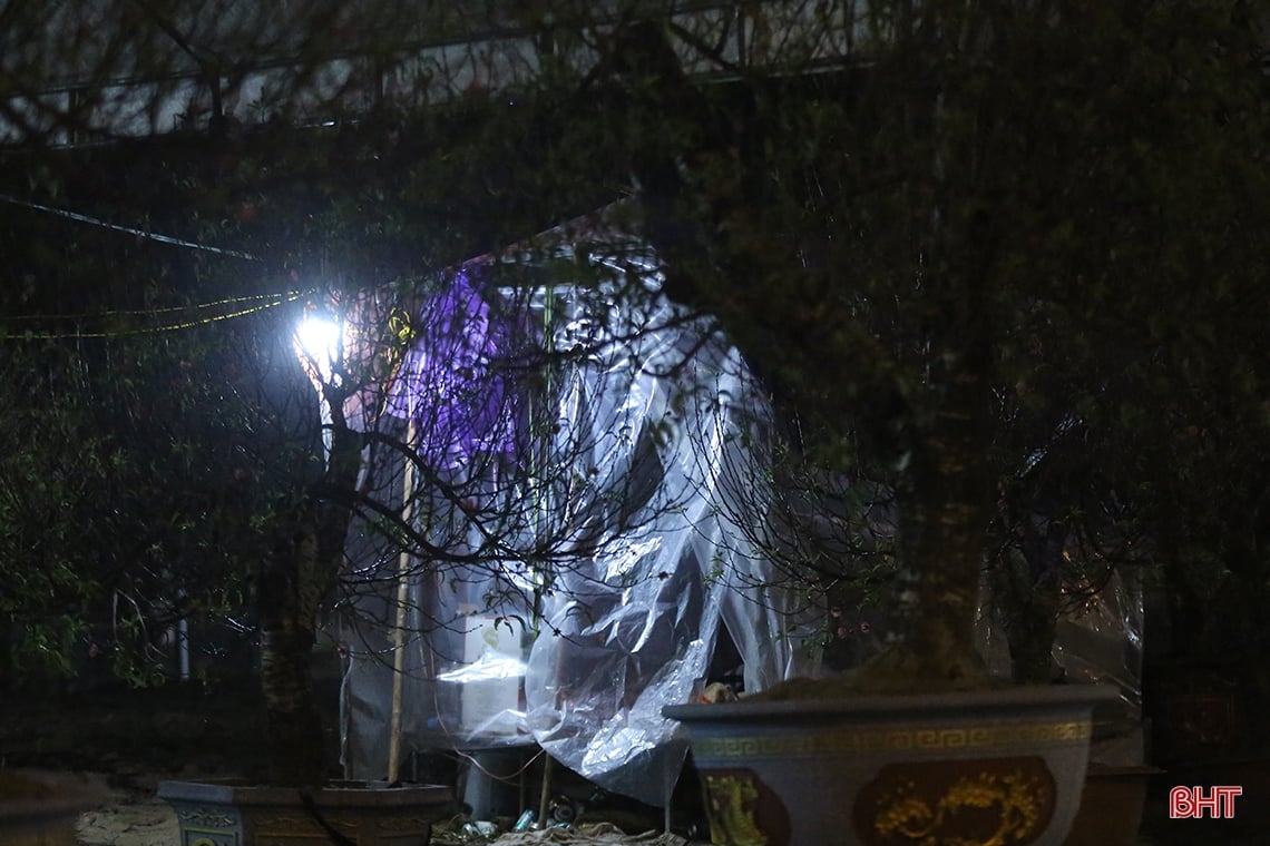 Kumquat et pêchers dans la nuit froide