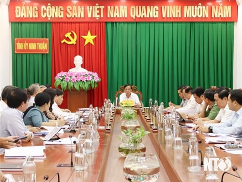 Hội nghị Ban Thường vụ Tỉnh ủy lần thứ 66