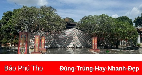 Propuesta de soluciones para proteger, preservar, renovar y restaurar reliquias y artefactos en la Pagoda Pho Quang