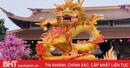 Chiêm ngưỡng linh vật rồng chào xuân mới ở Hà Tĩnh