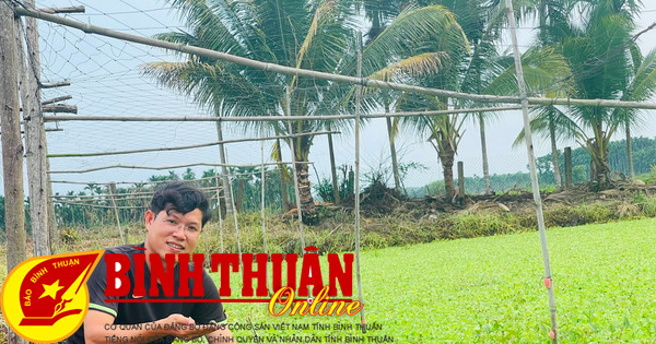 Thanh niên khởi nghiệp thành công từ nuôi ốc bươu đen và du lịch nông nghiệp