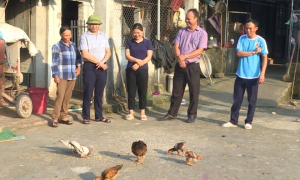 Income criteria in rural development - Quang Ninh's approach