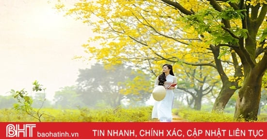 Vạt nắng chiều thu