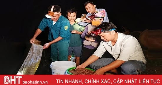 Xem người dân Hà Tĩnh thu hoạch rươi, thu tiền triệu mỗi đêm