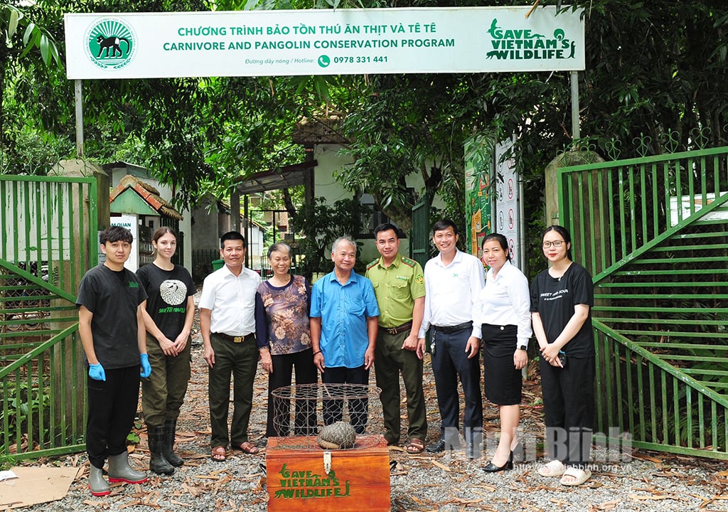 Một hộ dân của thành phố Ninh Bình giao nộp cá thể tê tê cho Vườn Quốc gia Cúc Phương