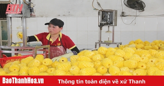 Chú trọng khai thác thị trường xuất khẩu