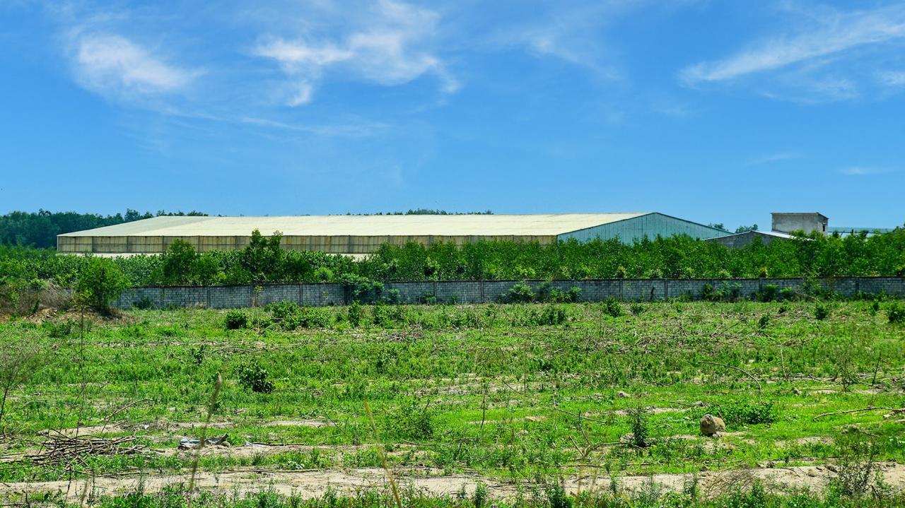 南河の近くの養鶏場、東河から離れた住宅地、Duc Linh Anh n.-lan-1.jpg