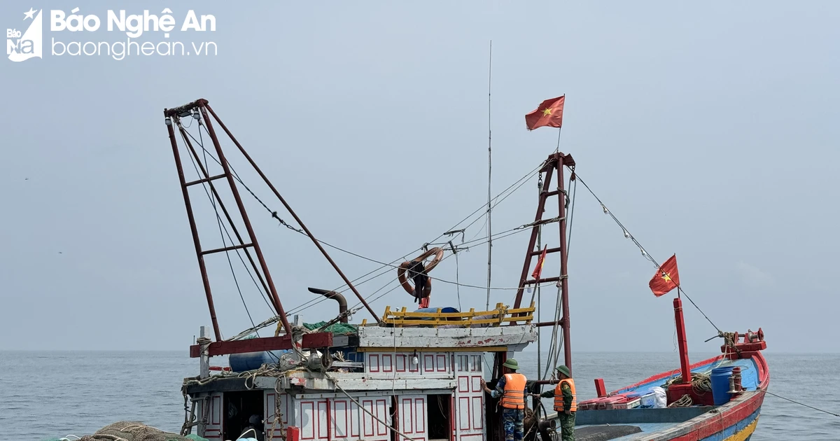 Nghệ An kiểm tra, xử phạt 7 chủ tàu cá vi phạm khi đánh bắt trên biển