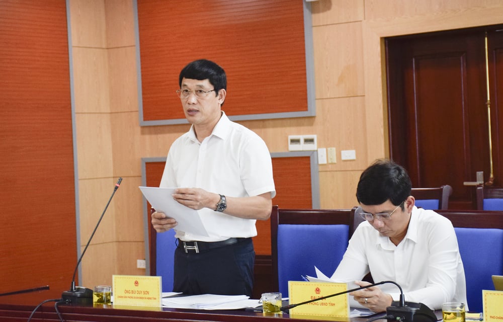 Comrade Bui Duy Son - Chief of Office of the National Assembly Delegation - Provincial People's Council presented reports at the meeting.