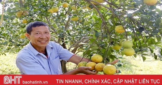 Ha Tinh border commune is prosperous thanks to new rural areas