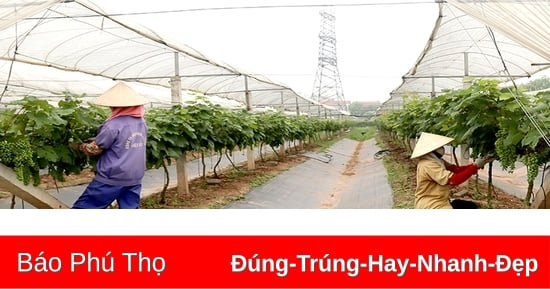 Khai thác tiềm năng du lịch nông nghiệp