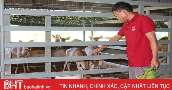 Xã ven đô Hà Tĩnh đa dạng mô hình kinh tế gắn với xây dựng nông thôn mới