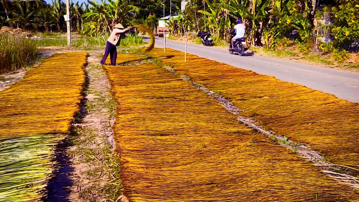 chieu ca hom di san van hoa cua dong bao khmer tra vinh hinh anh 4